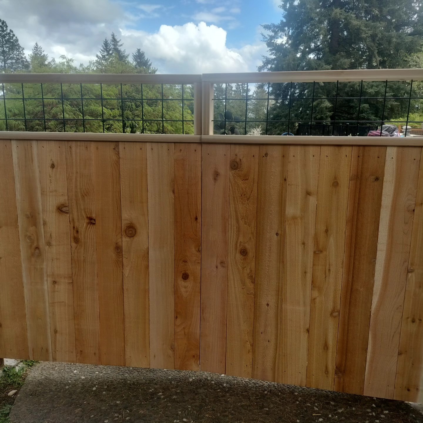 Cedar privacy fence with a wire mesh accent panel